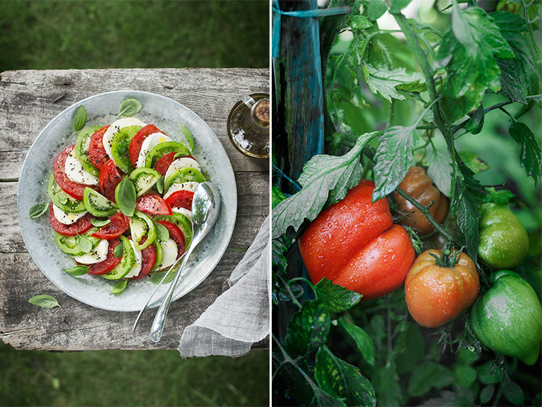 Salade caprese