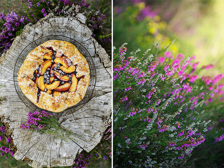 Tarte rustique nectarines,myrtilles